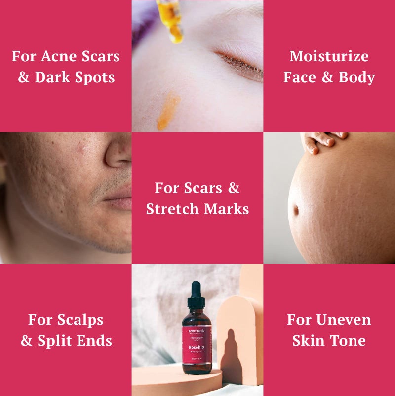 Scentuals Rosehip Facial Oil Blend, Face Moisturizer with Pure Rosehip, Grapeseed Oil, Apricot Oil, Safflower Oil, Vitamin E for Deep Hydration, Protection and Versatile Anti Aging Skincare, 2 fl.oz | 60 ml - Image 3